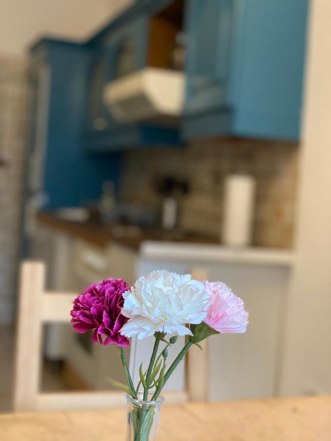 Central Shared Apartment, Friesenplatz 쾰른 외부 사진