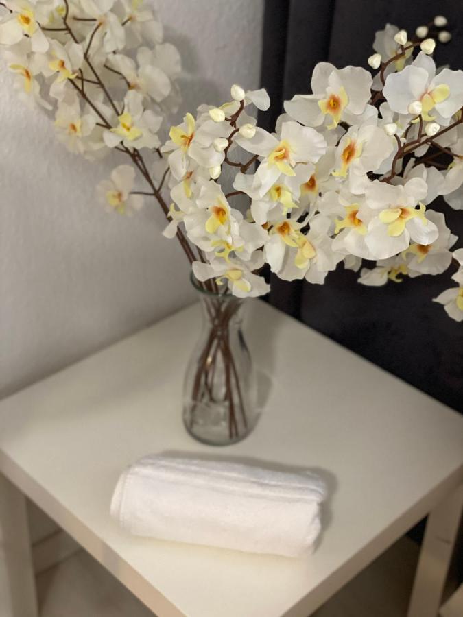 Central Shared Apartment, Friesenplatz 쾰른 외부 사진